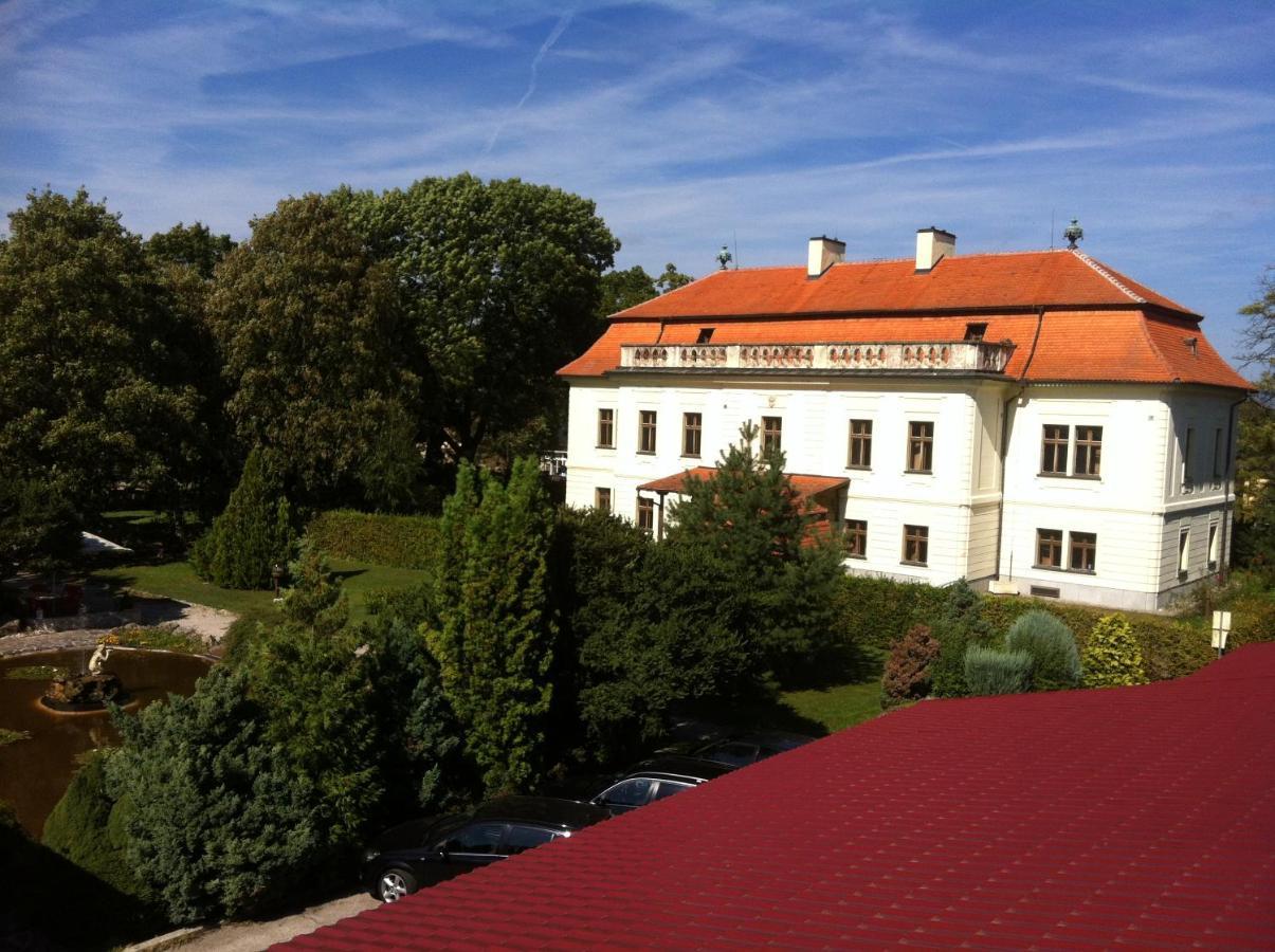 Hotel David Velke Bosany Exterior photo