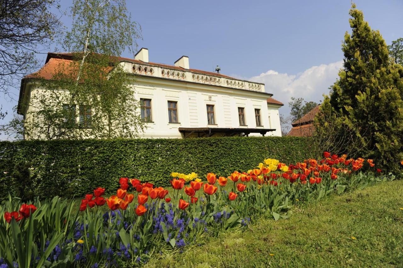 Hotel David Velke Bosany Exterior photo