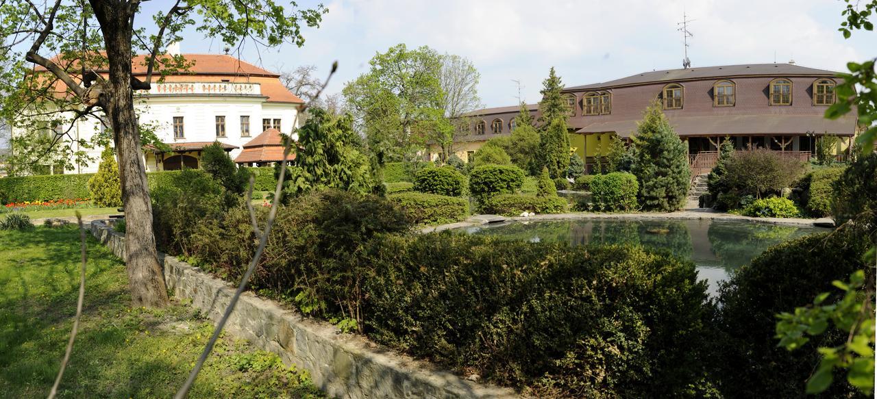 Hotel David Velke Bosany Exterior photo